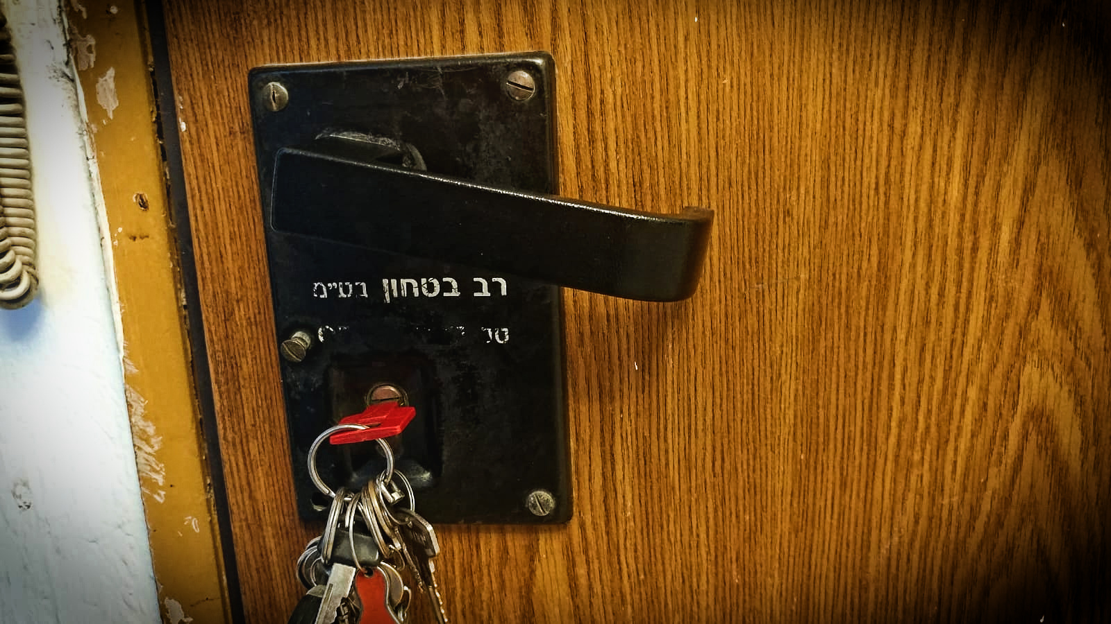 מסתגרים בבית ולא יודעים מה לעשות (צילום הדמיה: דני בלר)