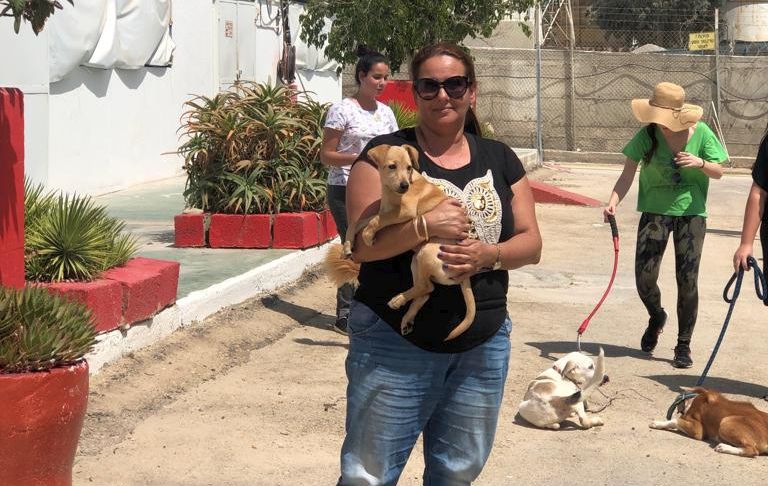 רוחה בן דהן, מנכ''לית צער בעלי חיים בבאר שבע (צילום פרטי)