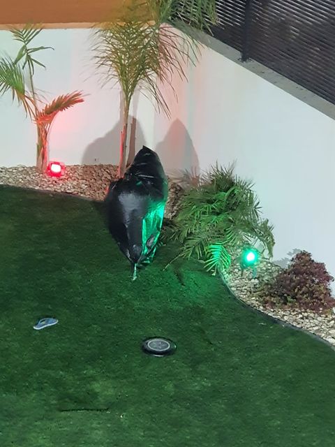 בלון התבערה ברמות (צילום סלולרי)