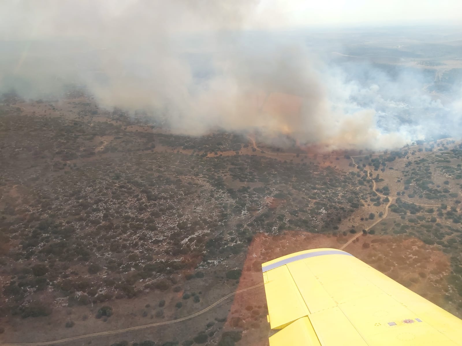 הדליקה כפי שנראתה ממטוס כיבוי (צילום: דוברות כיבוי והצלה)