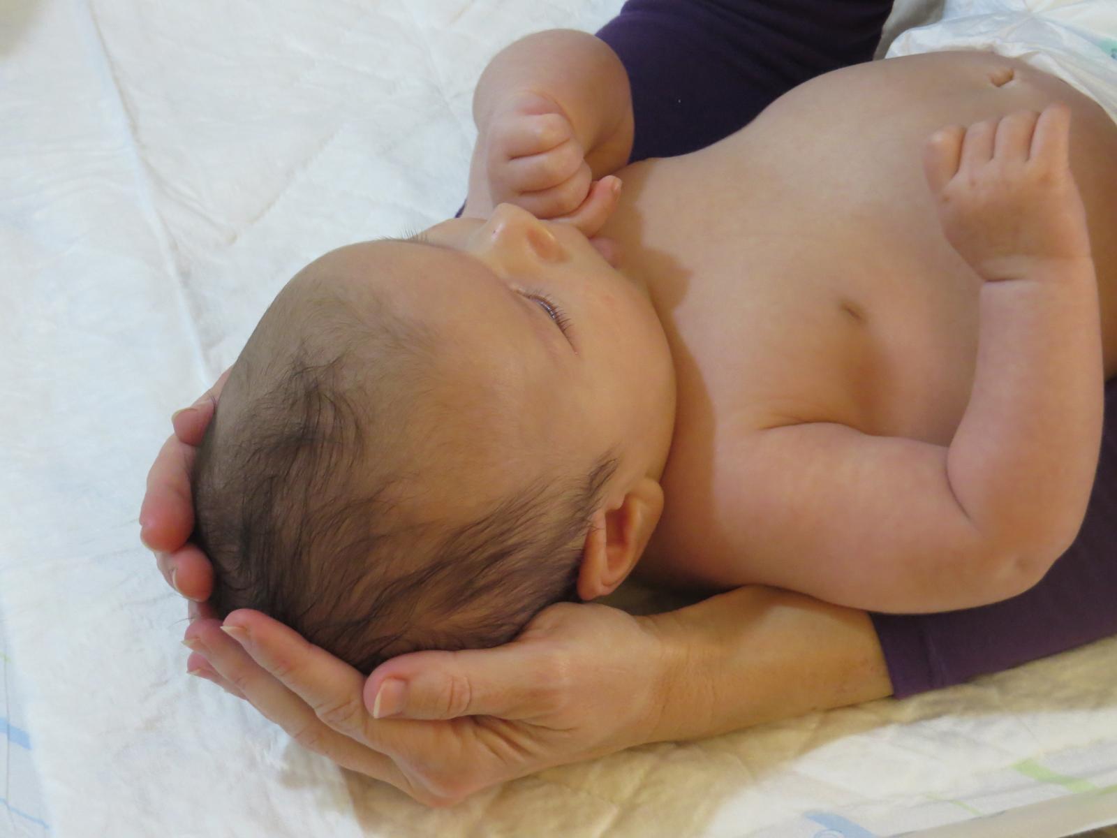 (צילום: קרן פז בונקר)