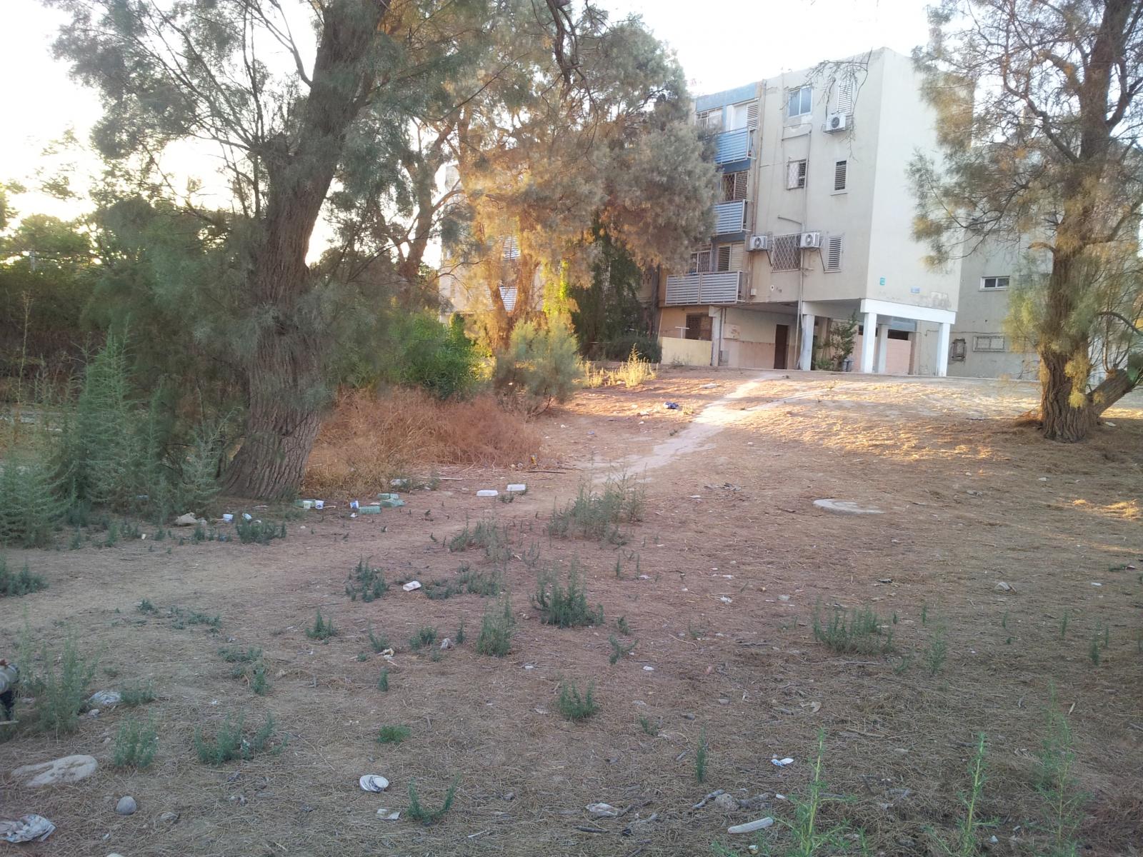 חוששים מפינוי בינוי, משוועים לשינוי (צילום: דני בלר)