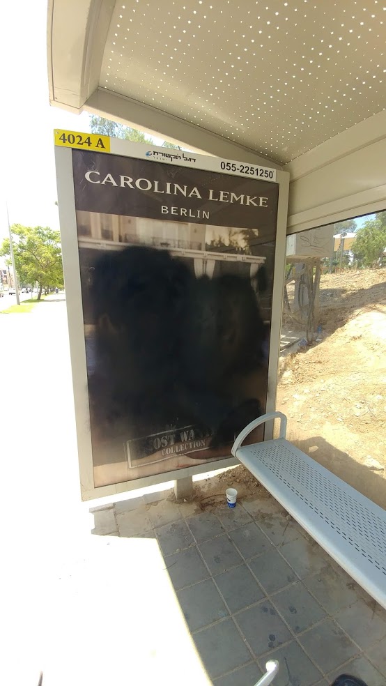 נשים בשלטים בתחנות רוססו בצבע שחור ((צילום: דני בלר)