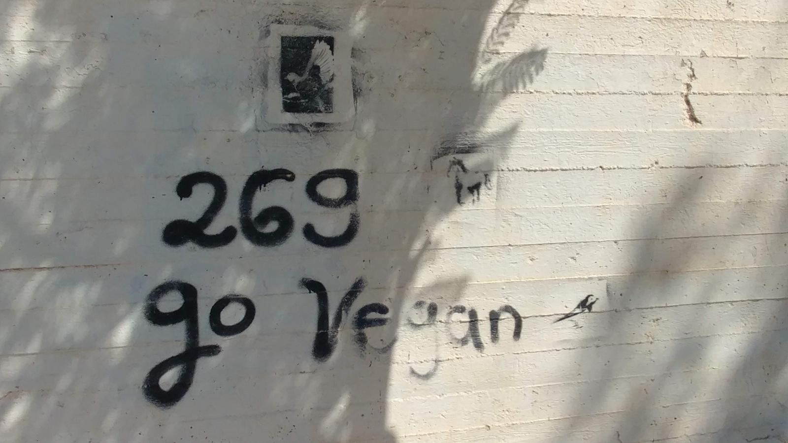 הטבעונים היו כאן. קירות רבים הפכו מטרה למרססי גראפיטי (צילום: דני בלר)