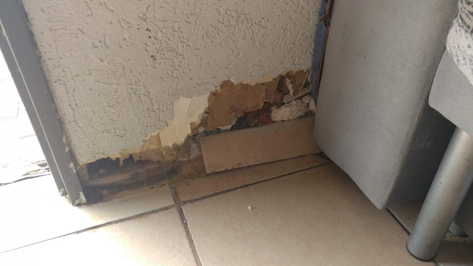 קירות העץ והגבס אכולים מרטיבות (צילום: דני בלר)