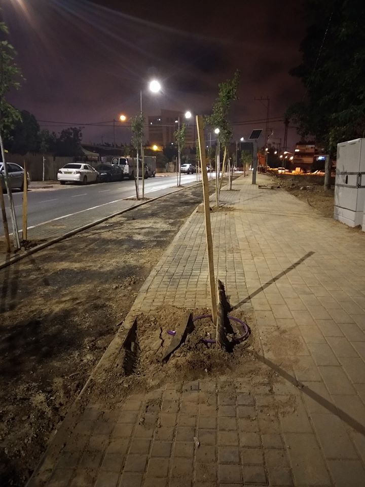 עצים נעקרו ברח' אברהם אבינו (צילום: באר שבע ביחד)