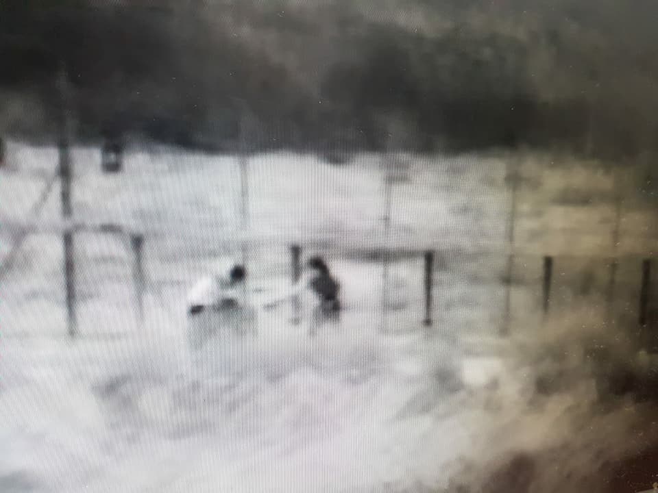 ניסיון החדירה בגדר המערכת (צילום: דובר צה''ל)