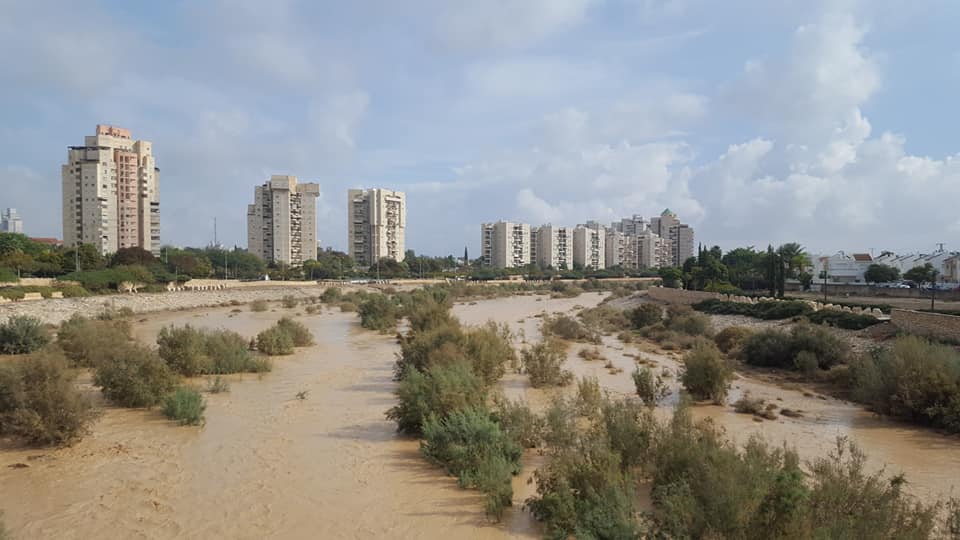 זרם אדיר של מים כיסה את גזעי העצים במקום (צילום: מאיה מוזס)