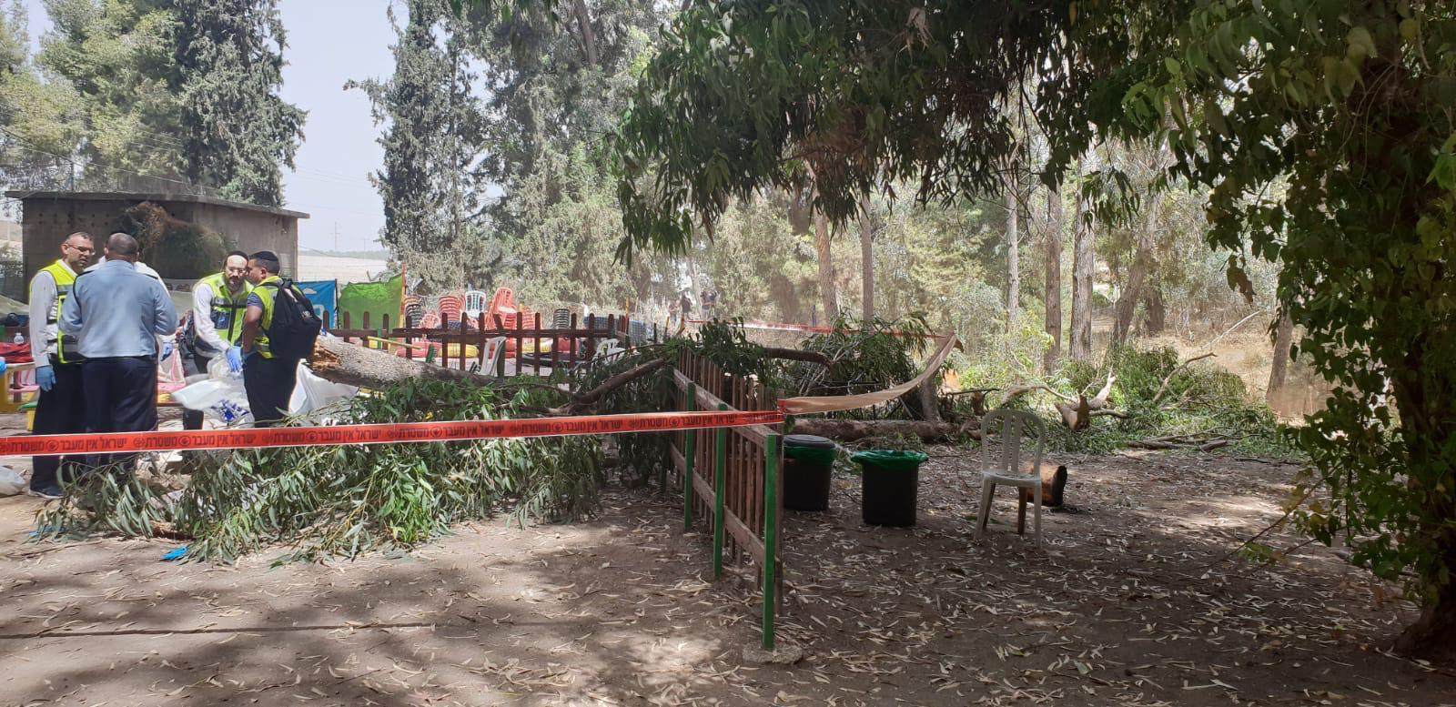 צילום: דוברות זק''א