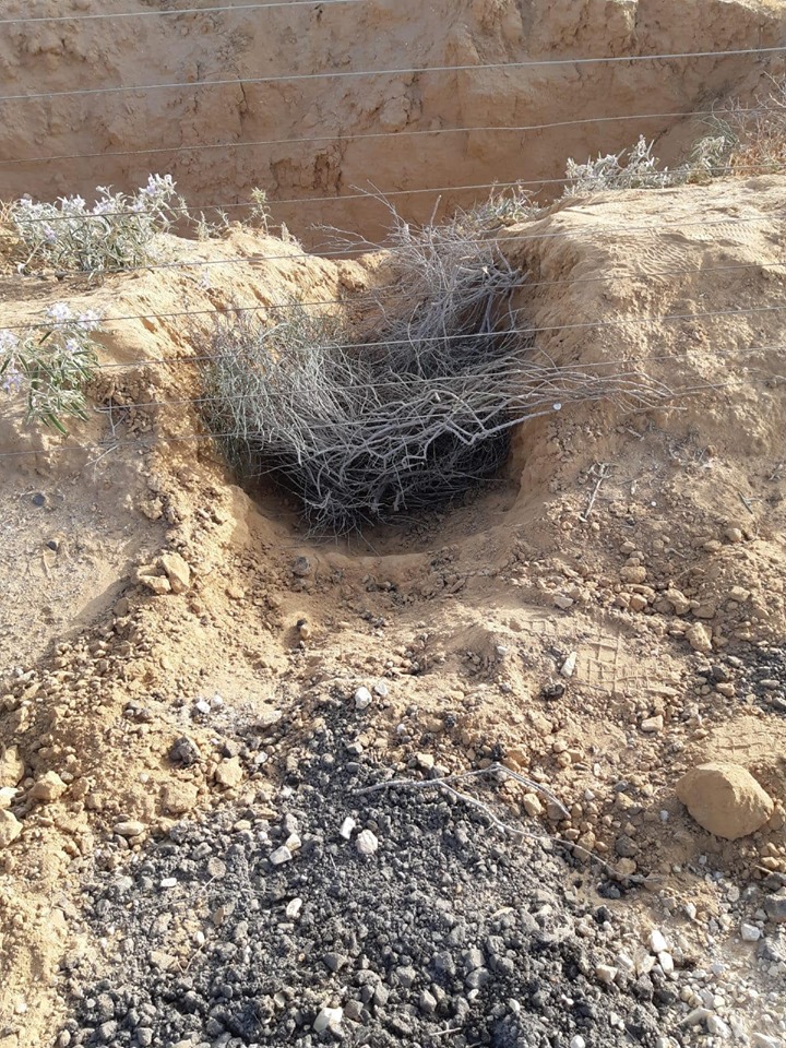 מנהרה שנחפרה ליד הגדר המקיפה את המושב (צילום סלולרי)