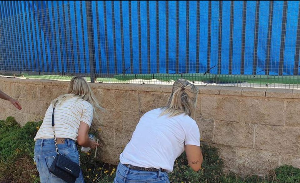 אימהות בב''ש, עוקבות אחרי הילדים ביום הראשון ללימודים (צילום: לימור כהן / באר שבע ביחד)