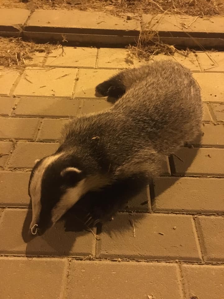 (צילום: גיל זק - באר שבע ביחד)