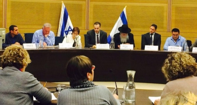 הדיון בוועדה לצדק חלוקתי (צילום: איה דבורין)