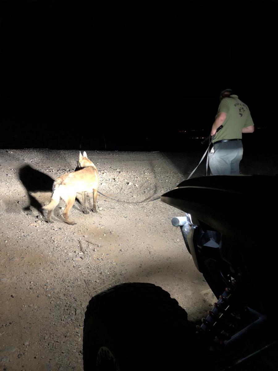 החיפושים אחרי החייל (צילום: יחידת הכלבנים)