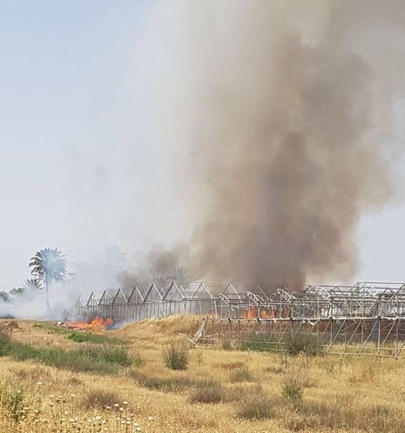 שטח חקלאי עולה באש בבית הגדי (צילום: דוברות כיבוי והצלה נגב)