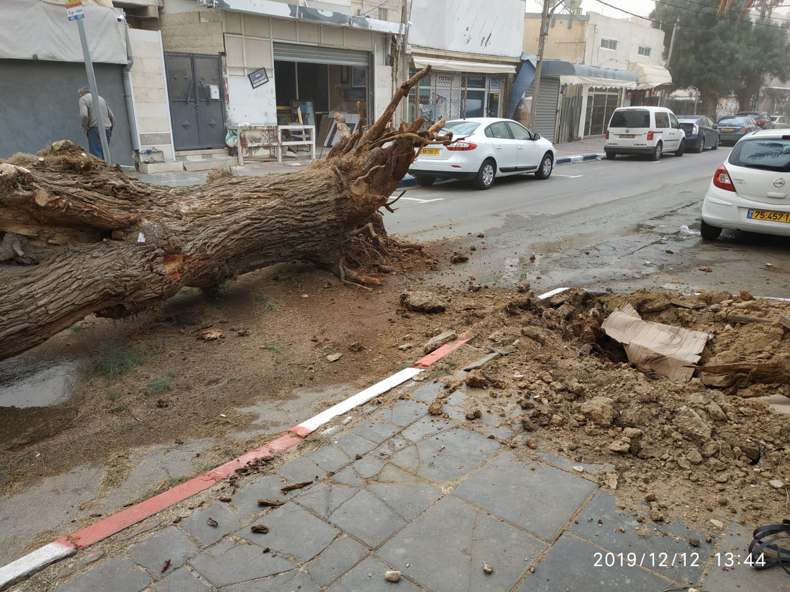 רץ בוואטצאפ