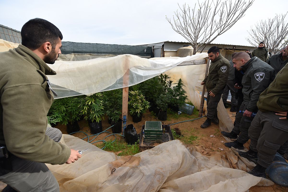 בנוסף לציוד צבאי גנוב רב, גם חממת סמים (צילום: דוברות המשטרה)