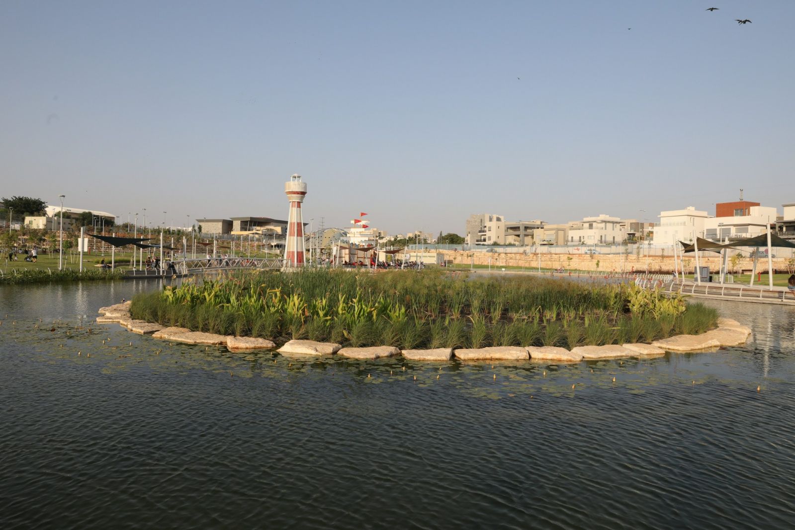 נווה מדבר: אי של צמחי מים (צילום: עיריית ב''ש)