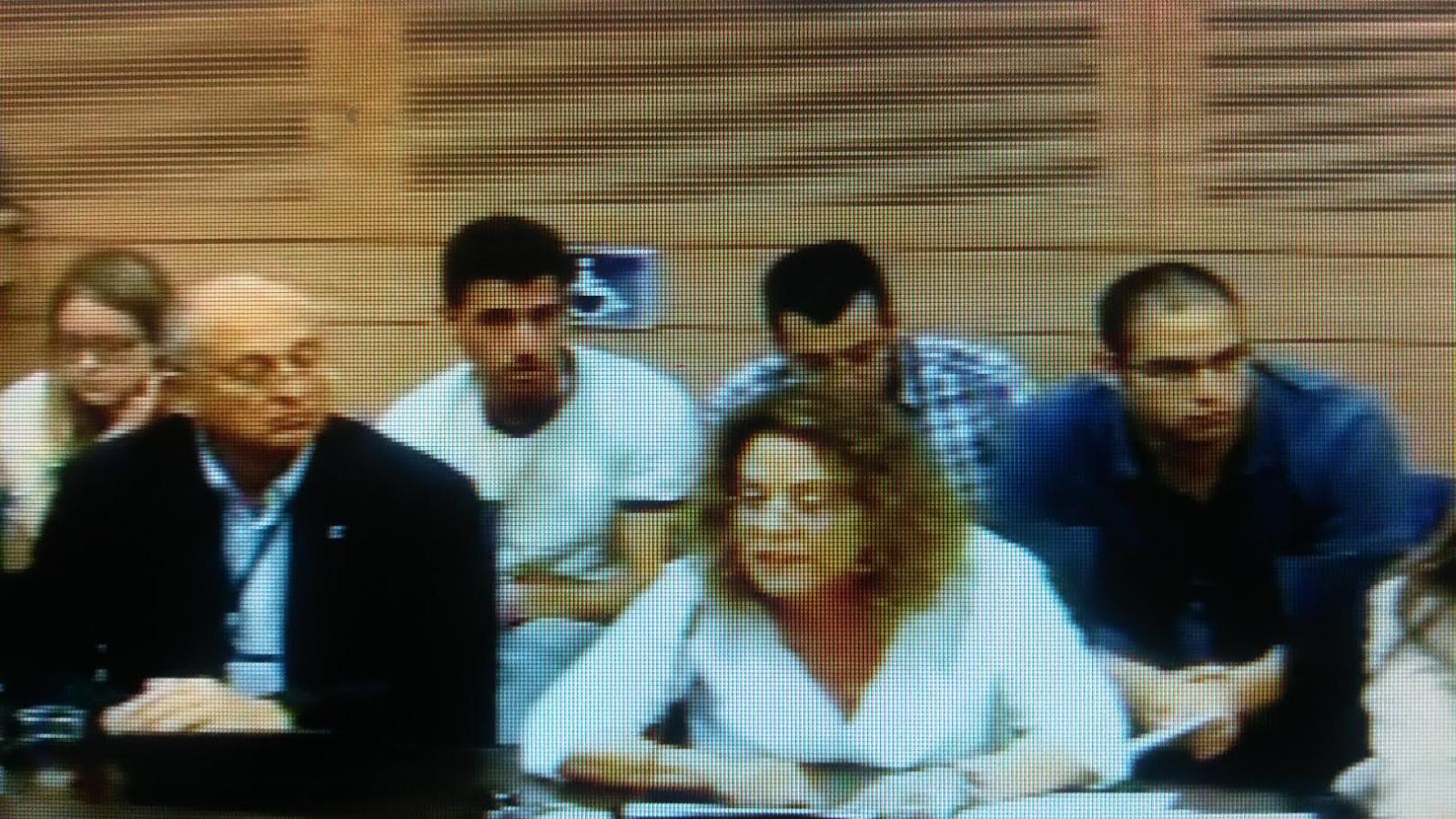 פרופ' כרמי בעדותה בוועדה (צילום מתוך שידור באתר בכנסת)
