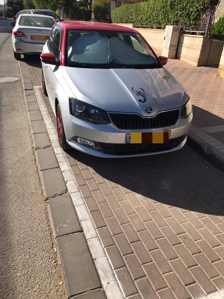 חנה כאוות נפשך ברחוב שפרינצק (צילום: רשת חברתית)