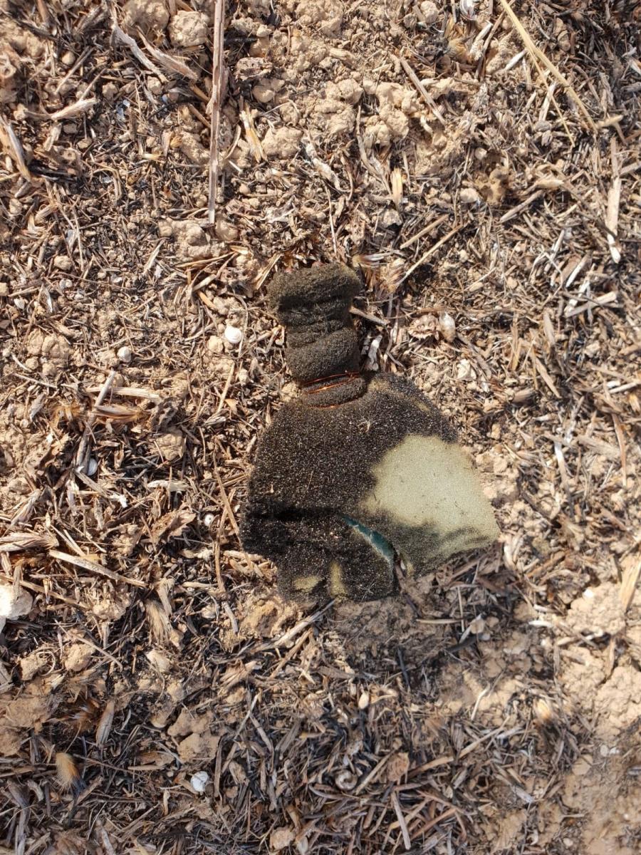 בקבוק תבערה שנמצא בכיסופים (צילום שרץ בוואצאפ)