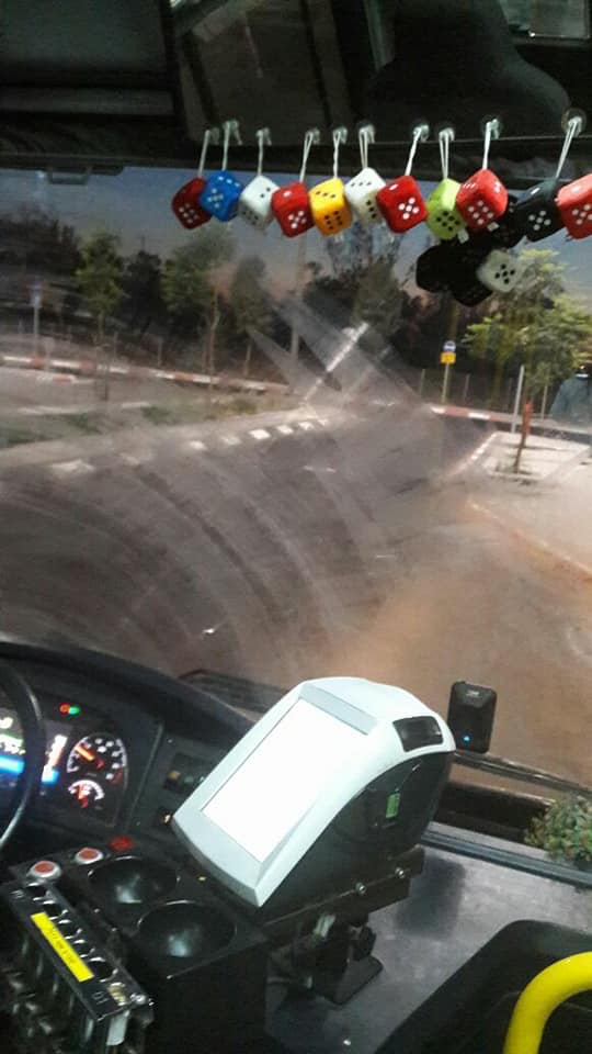 השימשה חטפה ביצה, זה מקשה על הראות (צילום: איילה וקנין)