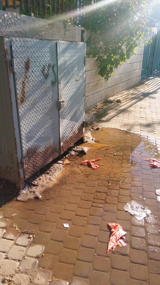 חלודה, בוץ וצרעות - ממש ליד הילדים. פני ההזנחה (צילום: דני בלר)