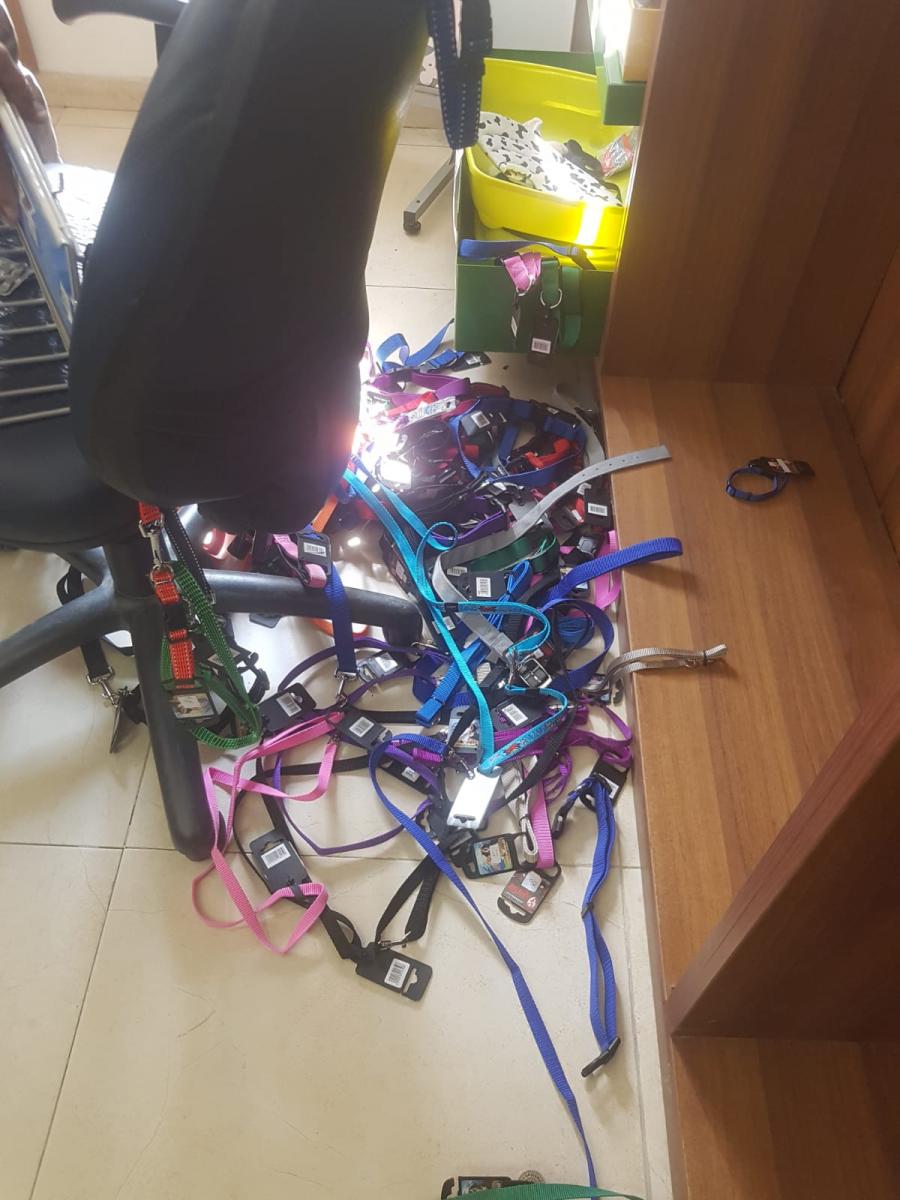 הפורצים זרעו הרס במקום (צילום פרטי)