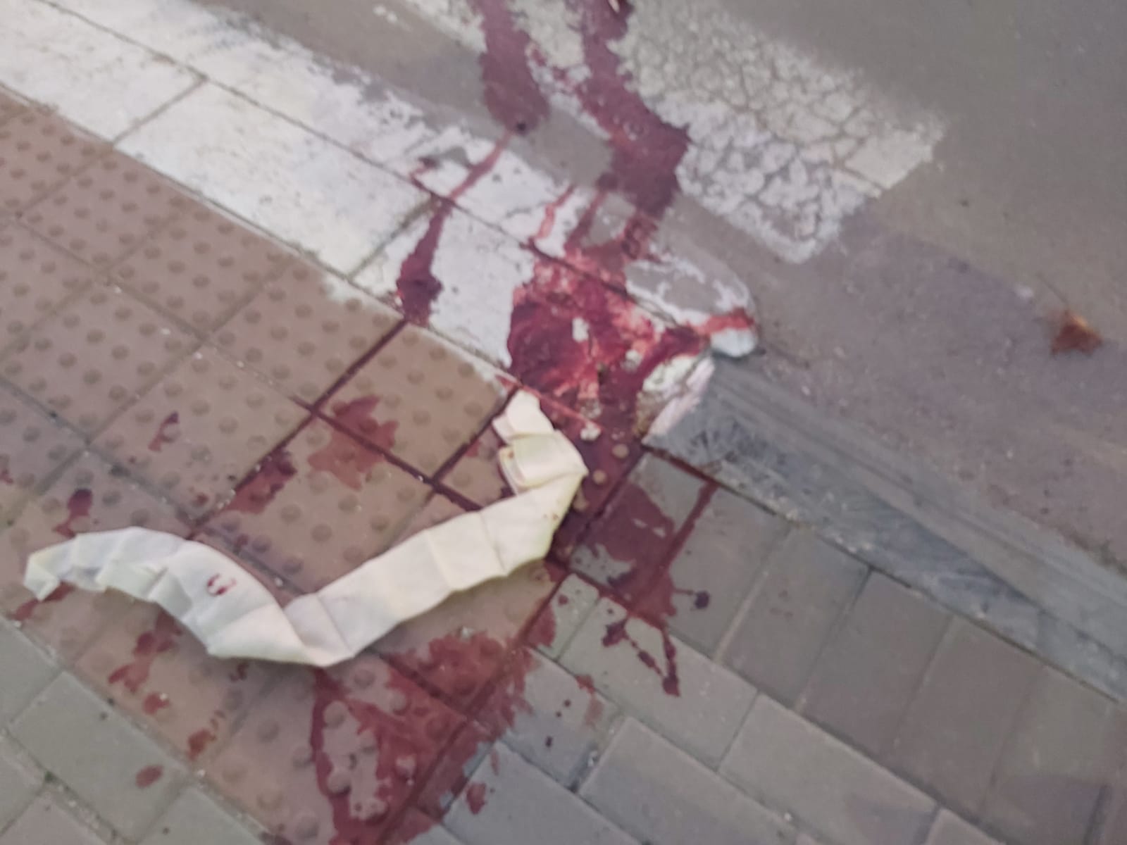 זירת האירוע (צילם: משה פריאל)