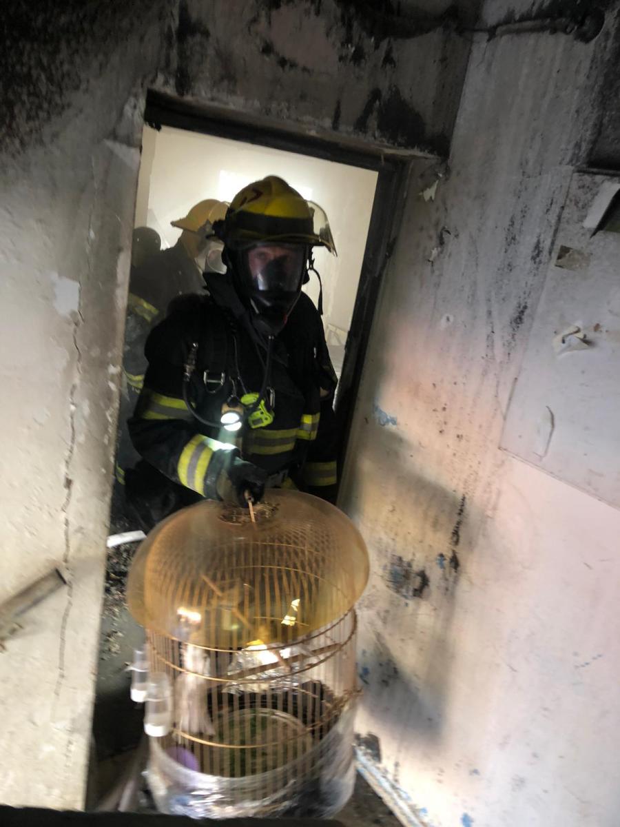 מהדירה חולצו בעלי חיים (צילום: דוברות כיבוי והצלה נגב מזרחי)