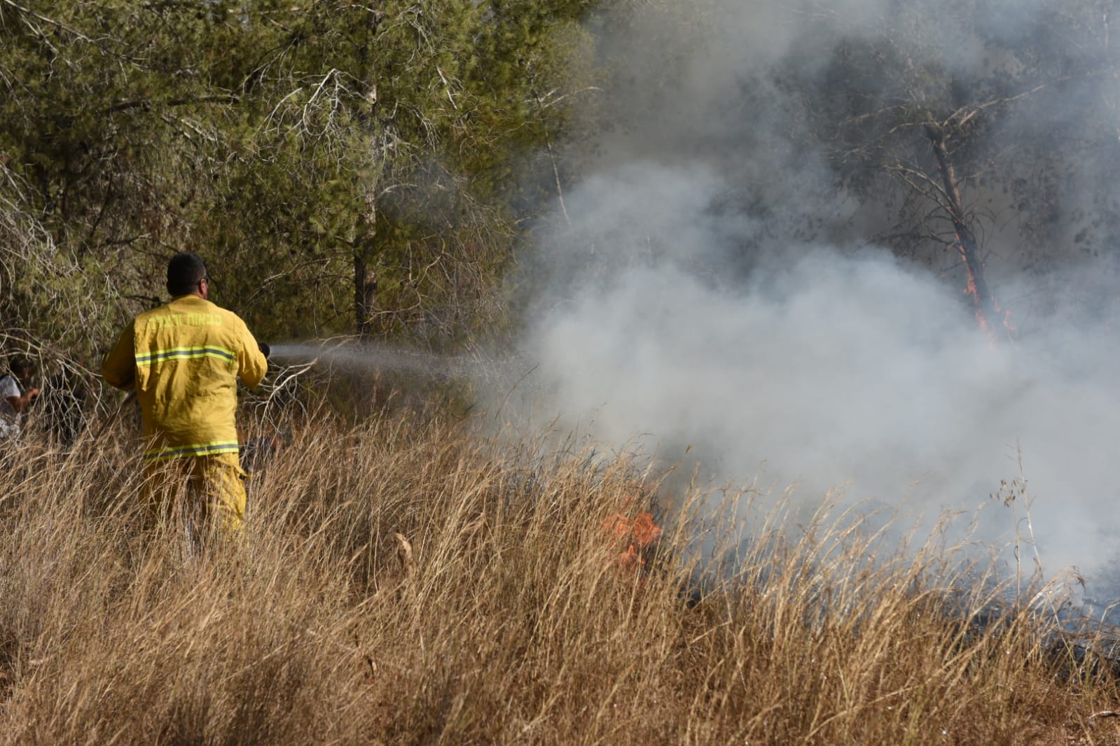 שדות בוערים בנגב (צילום: כיבוי והצלה נגב)
