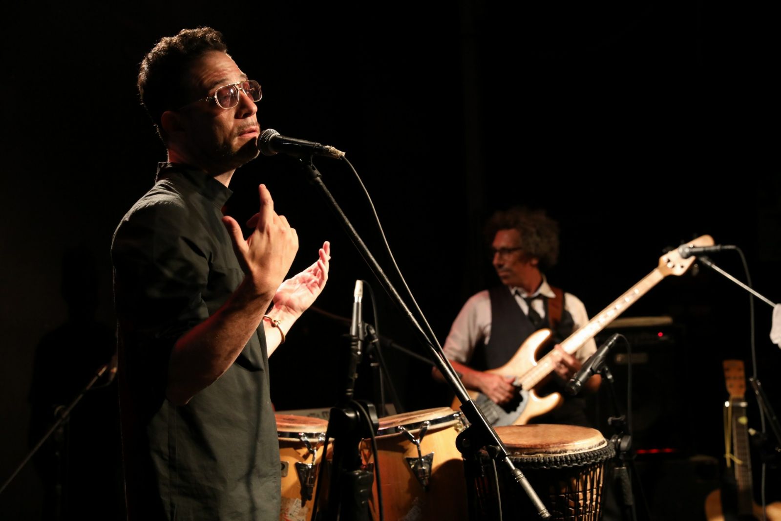 הג'ירפות לא פיספסו את הפסטיבל (צילום: דיאגו מיטלברג)