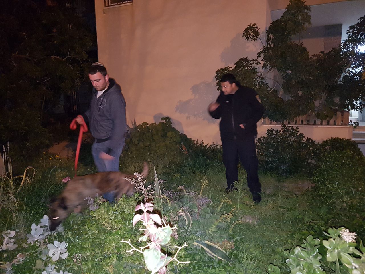 החיפושים אחר הנעדר, בעזרת כלבי גישוש ומתנדבים (צילום: דוברות המשטרה)