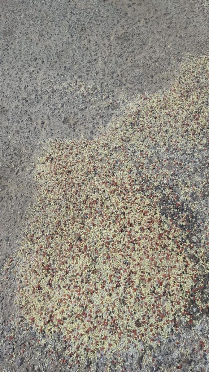 הרעל שפוזר ליד המרפאה