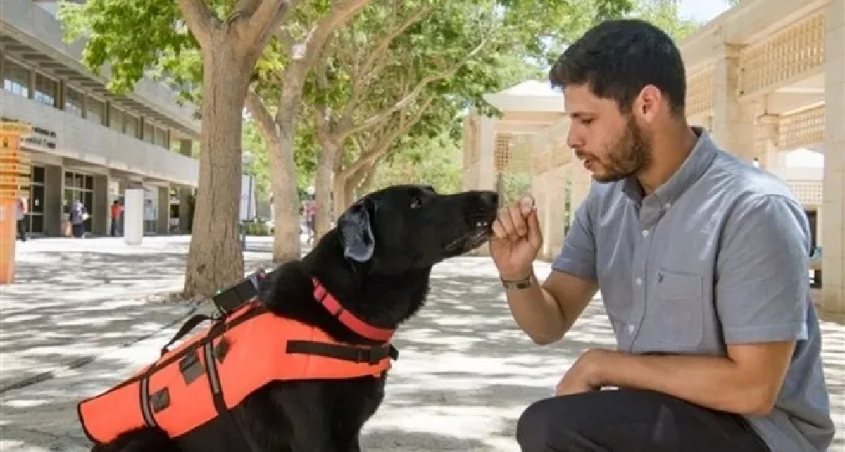 שמים את הכלב על רוטט: הפיתוח המהפכני של אוניברסיטת בן גוריון