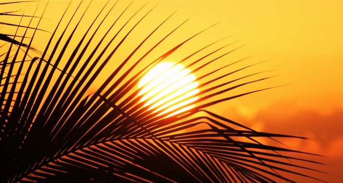 גל חום קיצוני בנגב עד יום רביעי, השיא: מחר