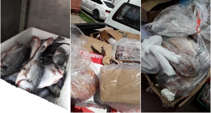 מוצרי בשר, עופות ודגים פגי תוקף נתפסו בביקורת משרד הבריאות בב''ש