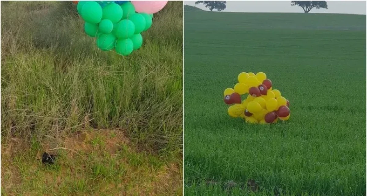 טרור הבלונים מעזה: שני בלוני נפץ נחתו בשער הנגב