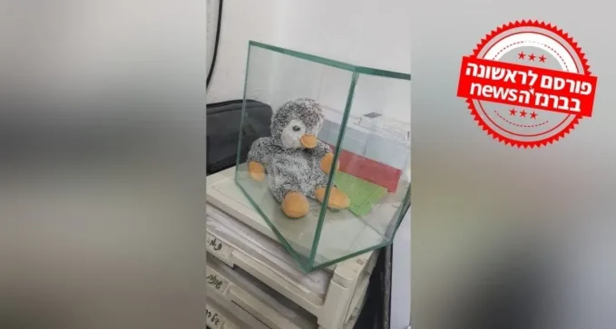 רוע לב: בובת הילד שנהרג בברצלונה נגנבה מהמצבה שלו