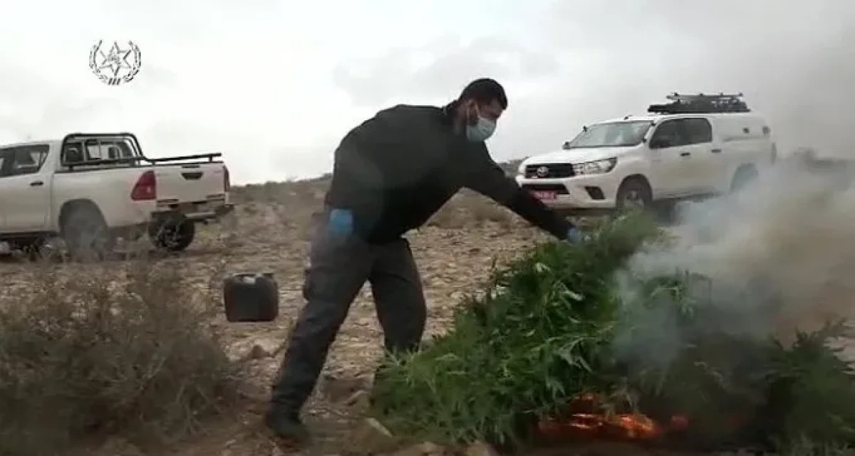 צפו: פשיטה על עשרות חממות מריחואנה בשטחי בסיס צאלים