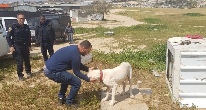 צפו: הכלב צ'ארלי שב הביתה; כלבים אחרים עדיין נעדרים