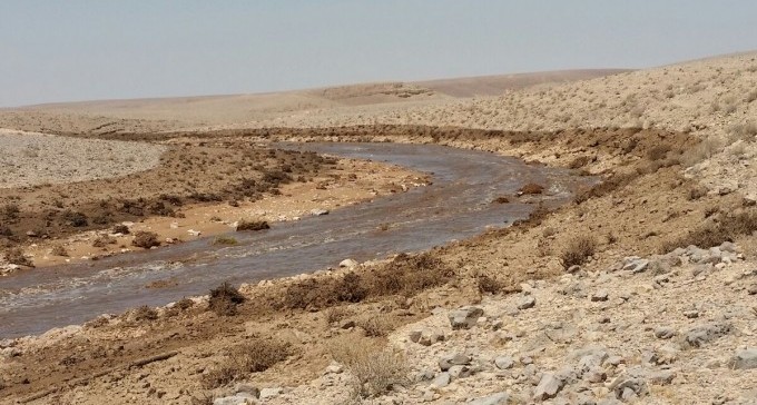אסון אקולוגי כבד בנחל אשלים בנגב, הרשויות רבות ביניהן מי תטפל