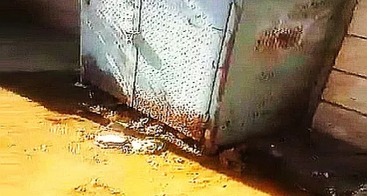 זה לא נגמר: שוב פיצוץ צנרת ליד יסודי נאות לון