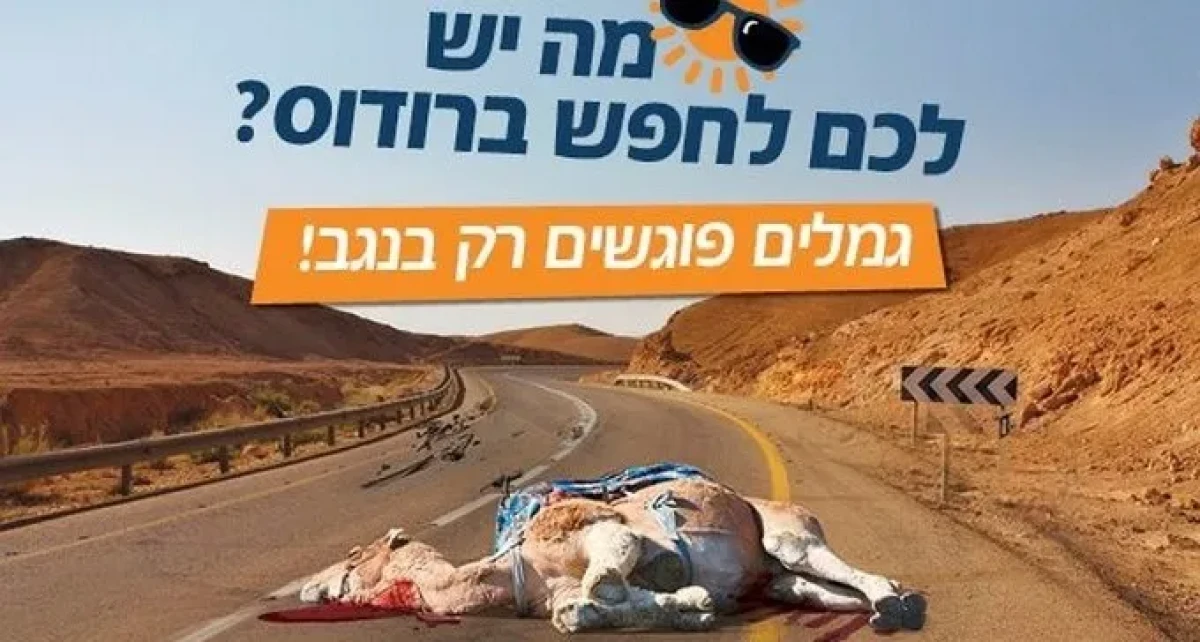 גראס וגמלים מתים: מסע הפרסום שקומם את ראשי הרשויות הנגב