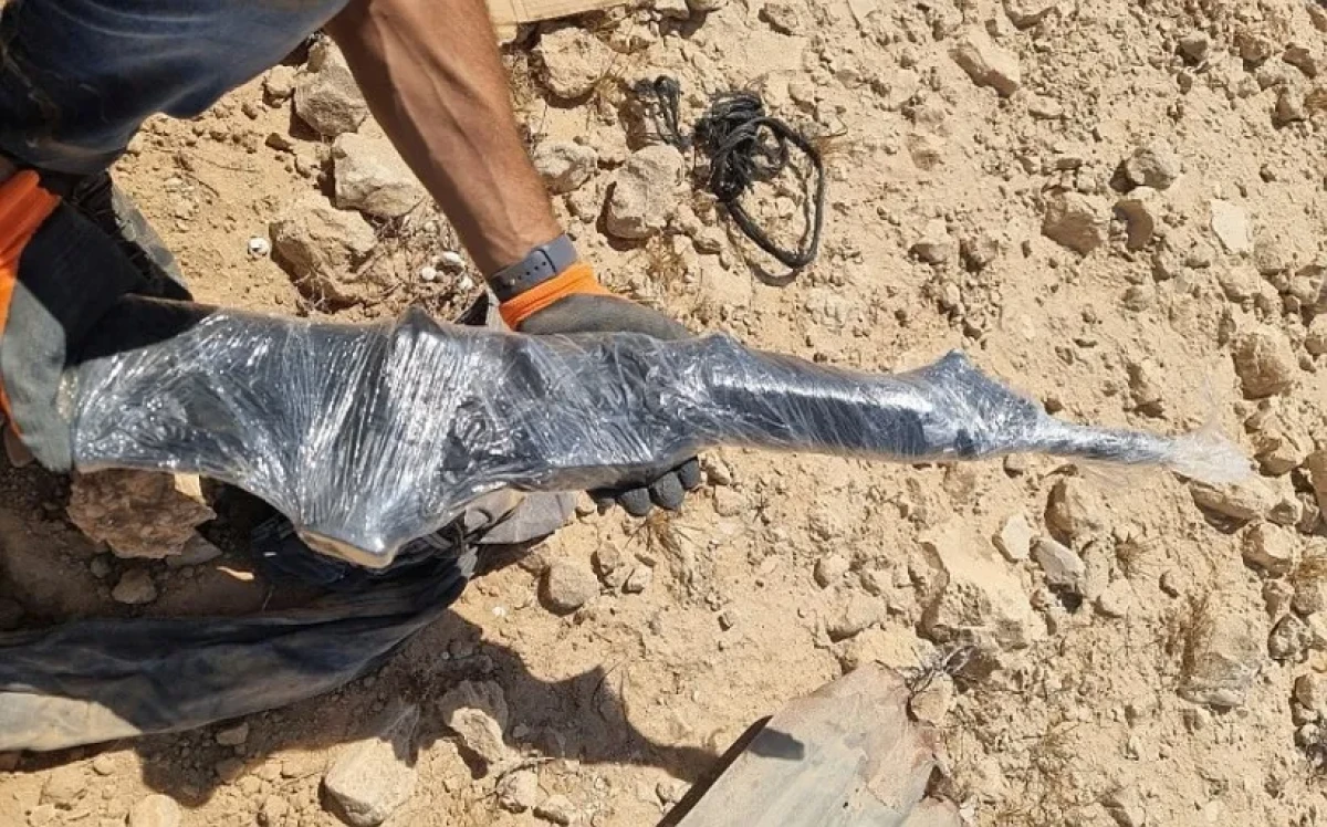 Зарезал сестру, хранил дома оружие и боеприпасы