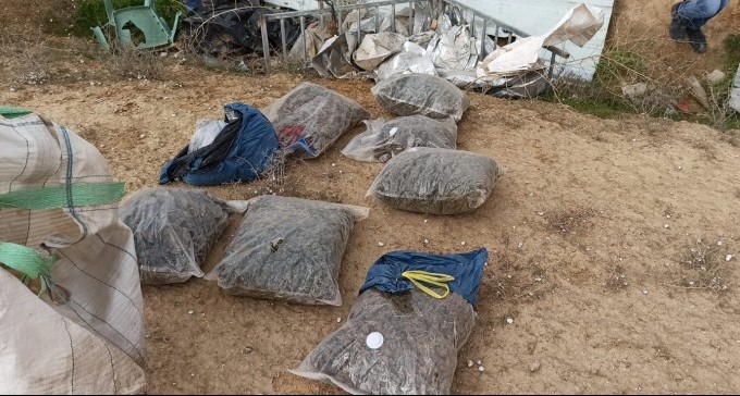 65 ק''ג קנאביס נמצאו בבית בשגב שלום, 2 גברים ואישה נעצרו