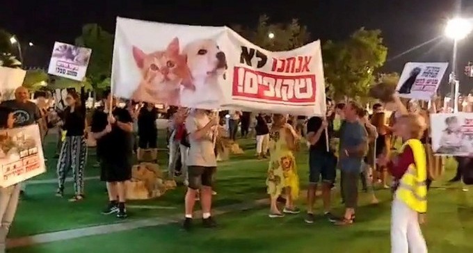 כ-100 פעילים זעקו את מצוקתן של החיות הנטושות בב''ש והפזורה