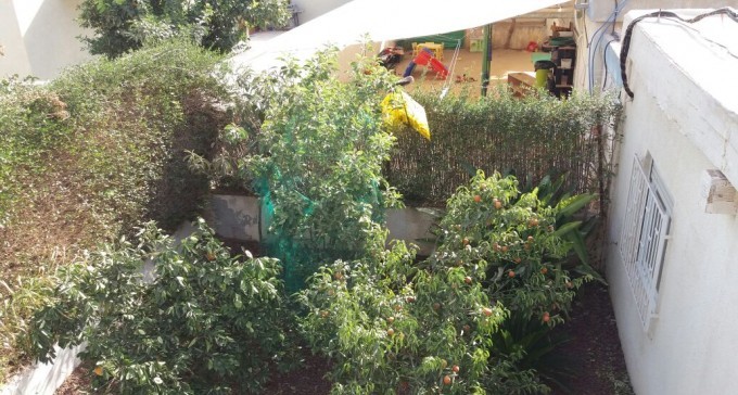 תושבי נווה עופר רותחים מזעם: ''הרעש של גן הילדים ממרר את חיינו''