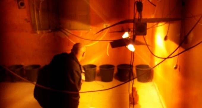 הוזעקו לטפל באלימות במשפחה - וגילו חממת סמים