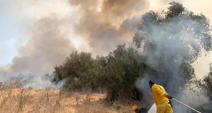 דליקת יער באזור בית ניר